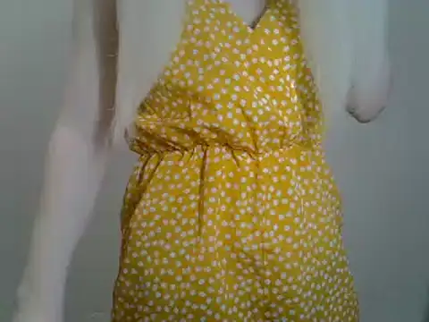 Snapshot of DitaVira chatting on 01.26.25 DitaVira online show from 01.26.25