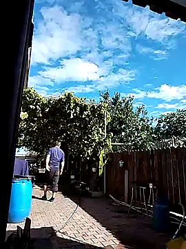 sarpe4 online show from 10.05.25