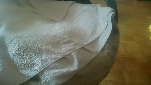 Snapshot of Python43 chatting on 02.20.25 Python43 online show from 02.20.25