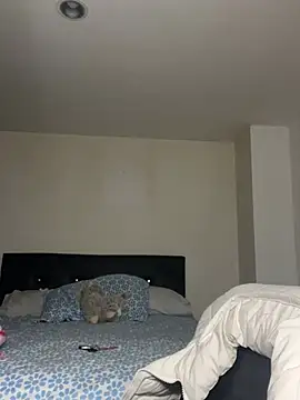 swrennn19 online show from 02.17.25