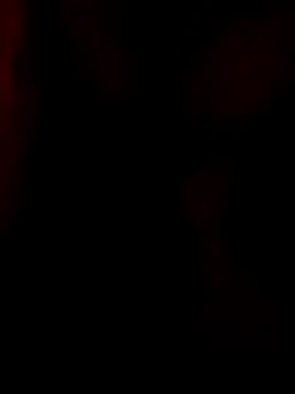 kiarafonseca  online show from 12.08.24