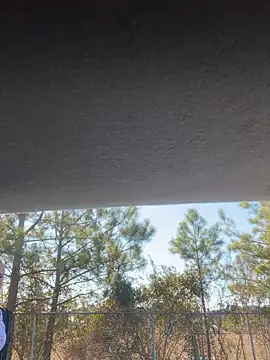 lolabunny9 online show from 01.28.25