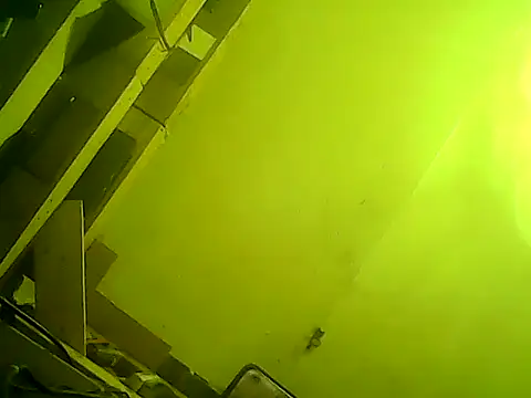 god23free online show from 02.23.25