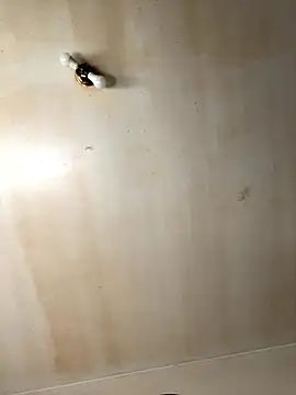 Tristris100 online show from 11.19.25