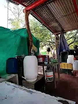 Brenda Berck  online show from 03.05.26