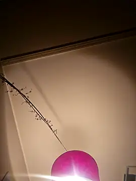 NiceHunter89 online show from 02.05.25