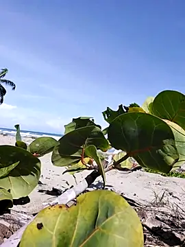 Luna-Natural online show from 12.14.25