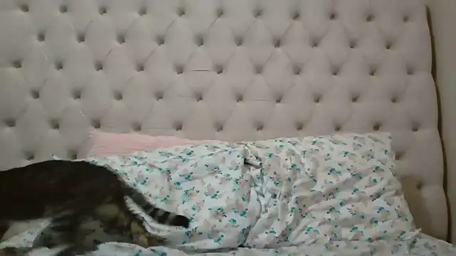 beautylovess online show from 02.05.26