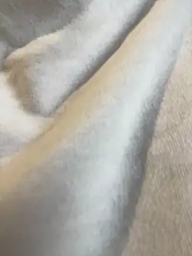 Aestheticsgirl online show from 03.03.26