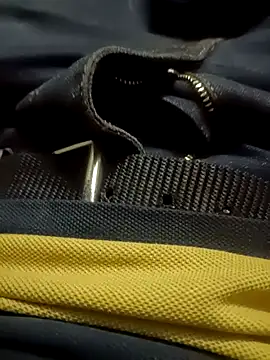 Snapshot of Javedmax chatting on 11.22.25 Javedmax online show from 11.22.25