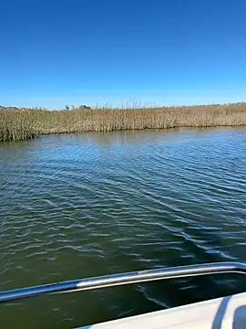 Snapshot of Goonwithoutclinching chatting on 01.10.26 Goonwithoutclinching online show from 01.10.26