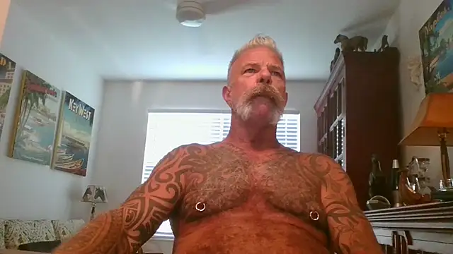 njdbear online show from 11.01.25