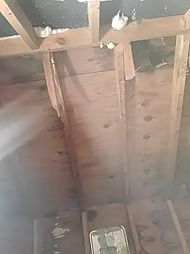 Snapshot of MaddyC6992 chatting on 12.26.24 MaddyC6992 online show from 12.26.24