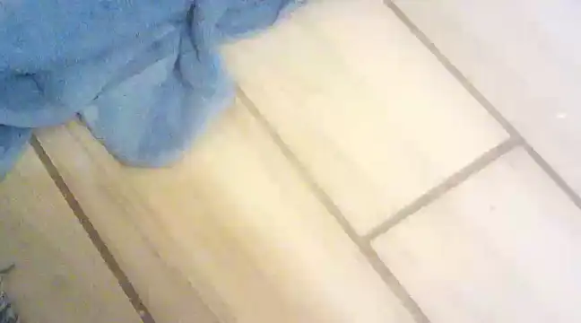 blasphemous online show from 01.28.25