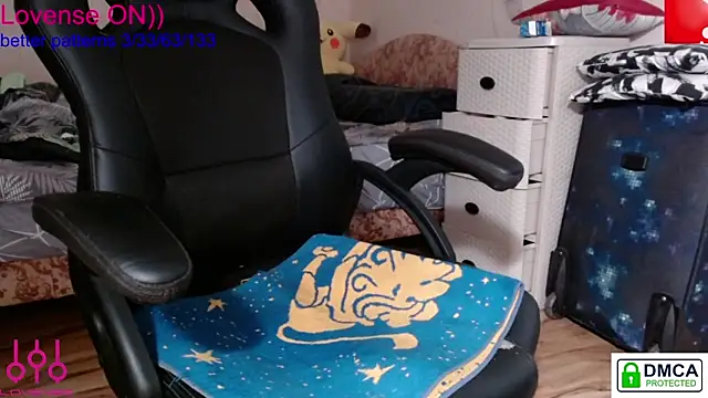 sweet cute cat online show from 03.11.25