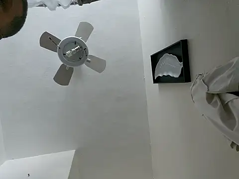 tropikboy online show from 03.23.26