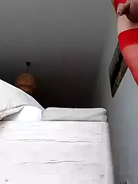 mister-dwt online show from 12.12.24