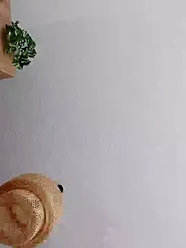 mister-dwt online show from 01.08.25