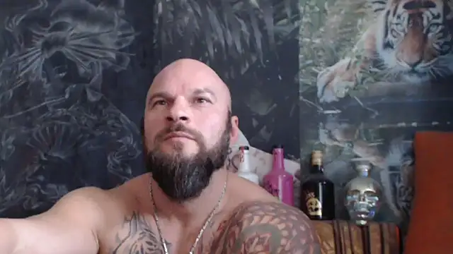 Snapshot of viking_30 chatting on 11.04.25 viking 30 online show from 11.04.25