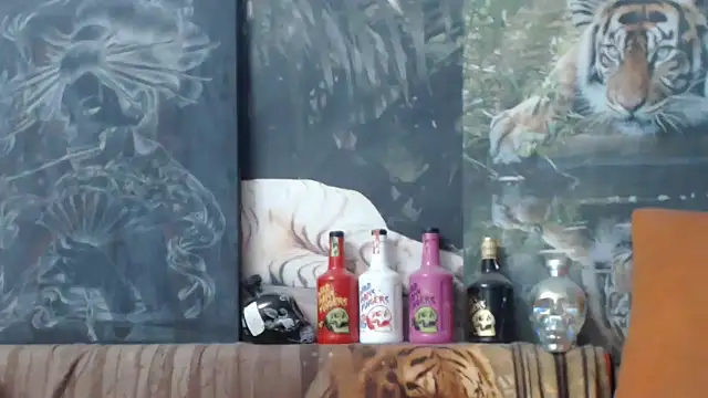 Snapshot of viking_30 chatting on 11.13.25 viking 30 online show from 11.13.25