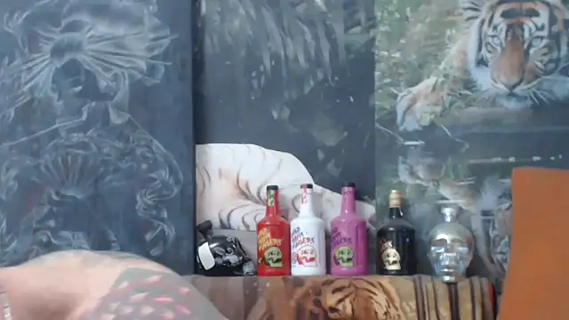 Snapshot of viking_30 chatting on 11.14.25 viking 30 online show from 11.14.25