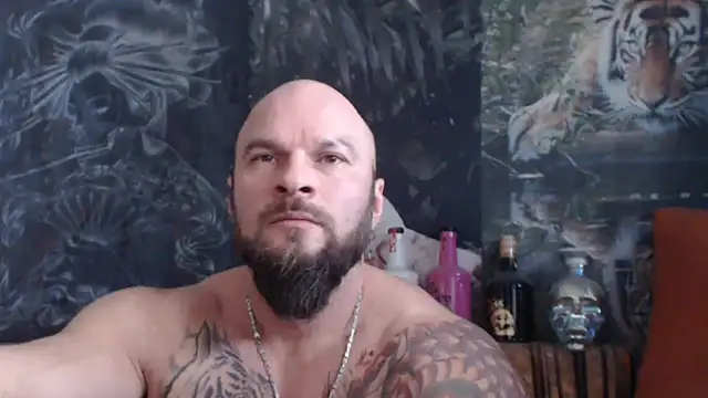 Snapshot of viking_30 chatting on 11.21.25 viking 30 online show from 11.21.25