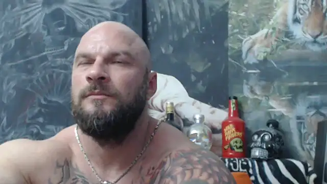 viking 30 online show from 06.11.26