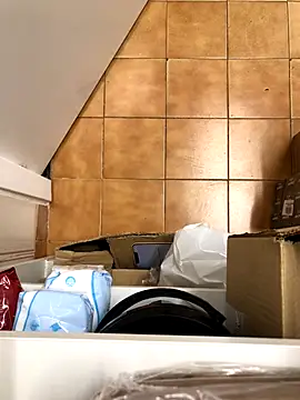 Mindnorthcam2 online show from 11.17.25