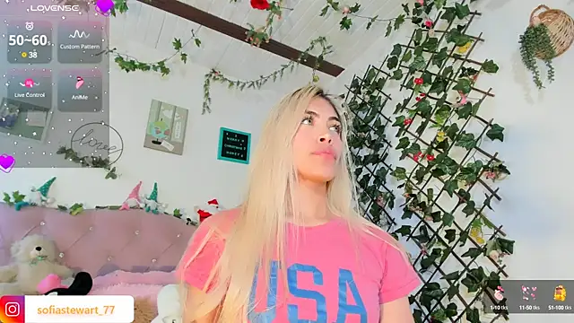 Snapshot of steewart_ chatting on 12.29.24 steewart online show from 12.29.24