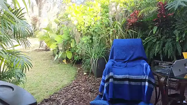 eliberator1777 online show from 12.10.24