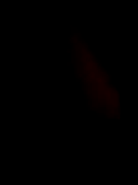 guilherme205 online show from 02.07.26