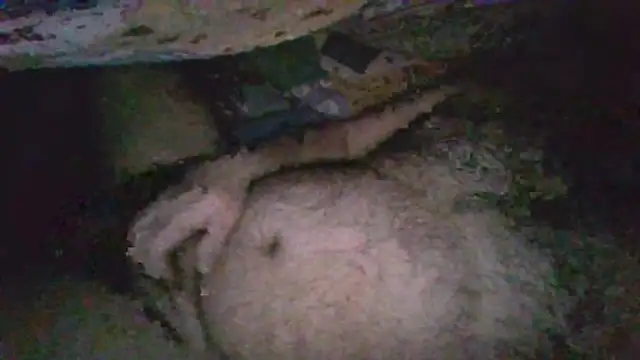 gerilom8787 online show from 02.04.26