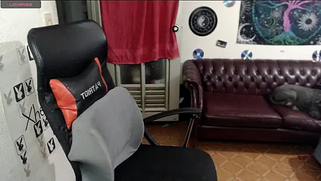 Snapshot of xherry_horny chatting on 02.19.25 xherry horny online show from 02.19.25