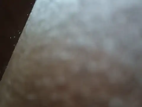 Snapshot of PrinceNoAlbert chatting on 12.06.24 PrinceNoAlbert online show from 12.06.24