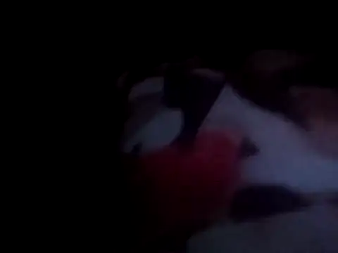 Snapshot of PrinceNoAlbert chatting on 12.15.24 PrinceNoAlbert online show from 12.15.24