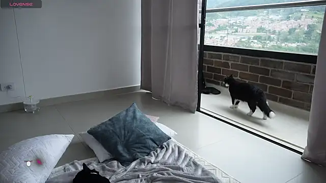 Snapshot of Veronica_ar chatting on 02.12.25 Veronica ar online show from 02.12.25