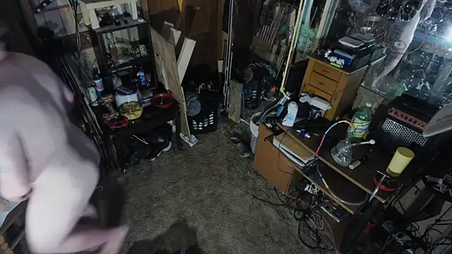 sex4fun 21 online show from 03.12.25