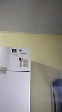 catdool online show from 02.14.25