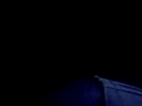 catdool online show from 03.12.25