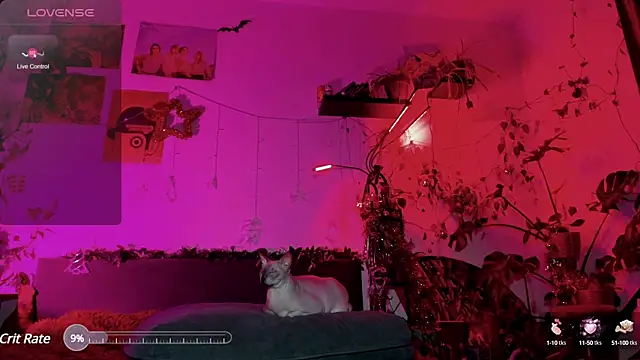 olivecum online show from 01.20.25