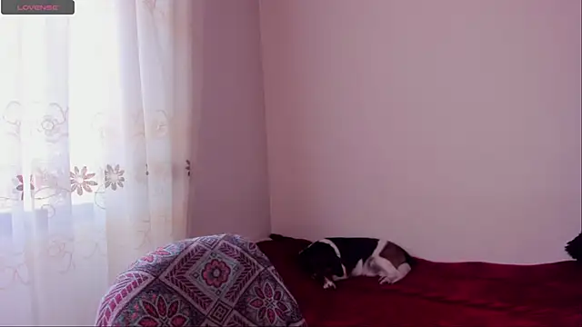 Snapshot of aluna_0310 chatting on 12.20.24 aluna 0310 online show from 12.20.24