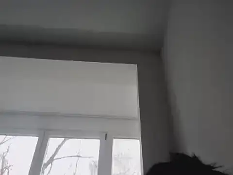 Snapshot of FallenDevil chatting on 01.25.25 FallenDevil online show from 01.25.25