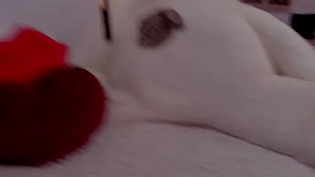 aryahunt1 online show from 02.12.25