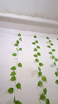 shayna all online show from 11.25.25