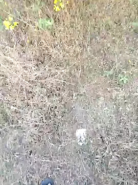 rameshmry1 online show from 03.21.26