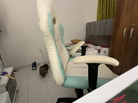 Max TheHorseDick online show from 12.14.24