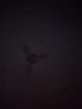 1Aleks13 online show from 11.25.25