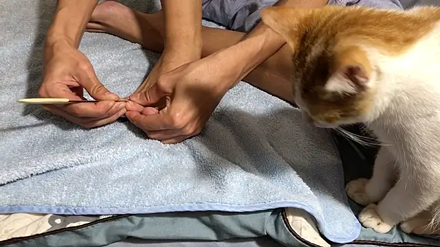 Snapshot of RiderFloor chatting on 02.08.26 RiderFloor online show from 02.08.26