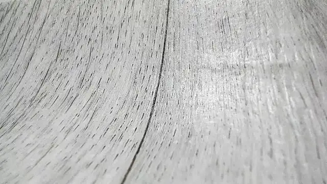 LittleSonya online show from 12.15.25