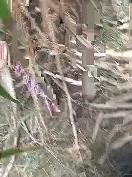 FinableKnee online show from 09.18.25